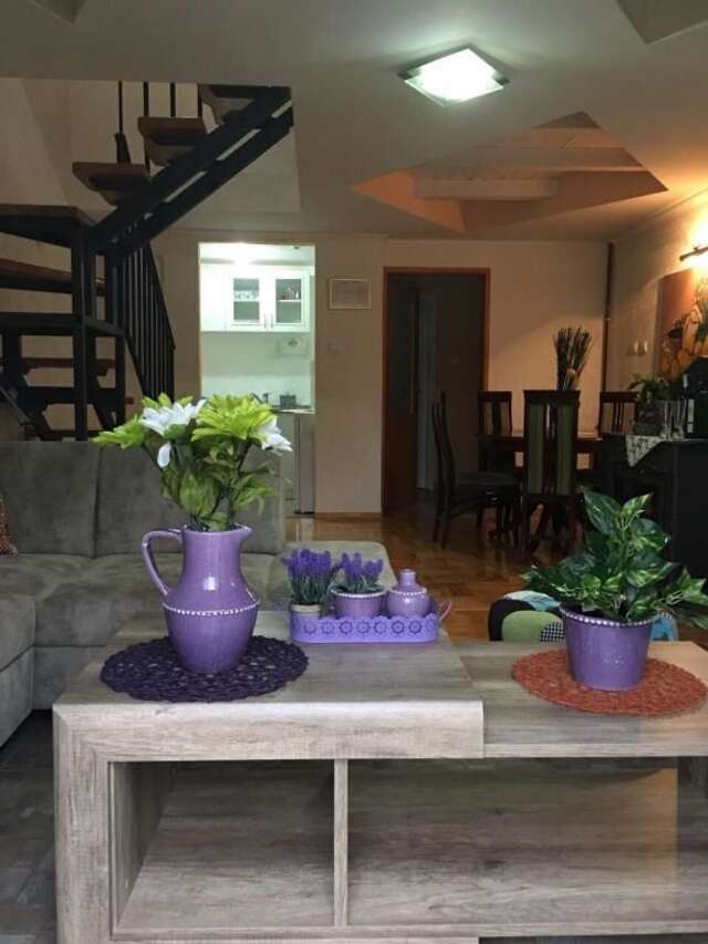 Апартаменты Apartments Green Цетине-28